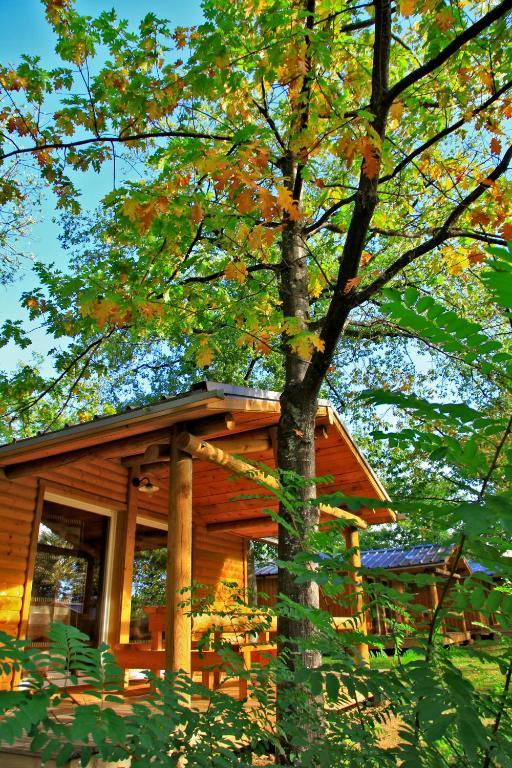 Albirondack Camping Lodge & Spa 객실 사진